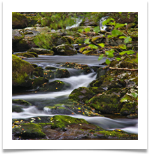 3 - Autumn in the Lake District - Chris Beesley